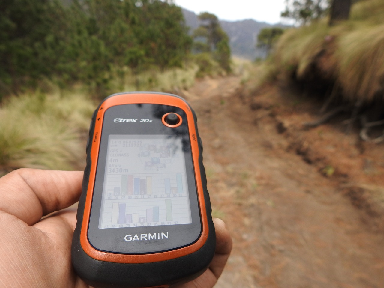 A geocacher holds a GPS locator device in front of them while traversing a trail.